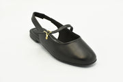 Sudbury Flats Negro